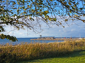 Die Marina von Glowe